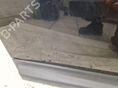 Left front door NISSAN PATHFINDER III (R51) 4.0 4WD | BP31177252C2 