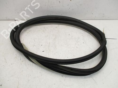 Rubber door seal RENAULT LAGUNA III Grandtour (KT0/1) 2.0 dCi (KT01, KT08, KT09, KT0K, KT12, KT1D, KT1W) | BP18807639C142 