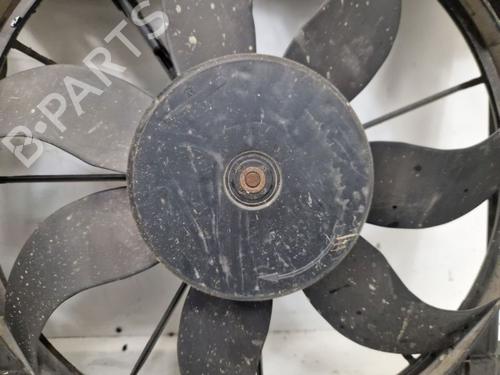  - Image 7