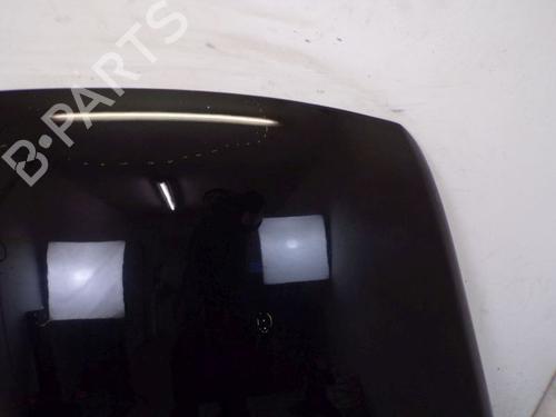 Hood VW TOUAREG (7LA, 7L6, 7L7) 3.2 V6 | BP29091312C1 