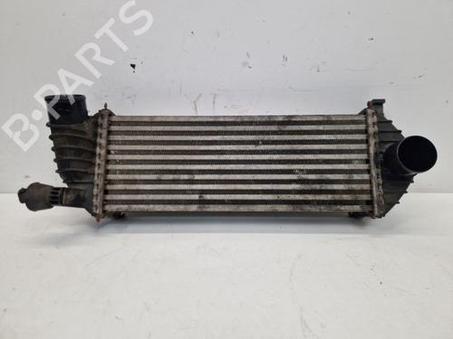 Intercooler Intercooler RENAULT KANGOO Express (FW0/1_) 1.5 dCi 85 (FW0K, FW0L, FW0B) (86 hp) 37143516 37143516