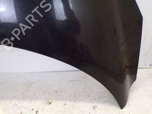 Hood FIAT DOBLO Cargo (263_) 1.3 D Multijet | BP29094667C1 