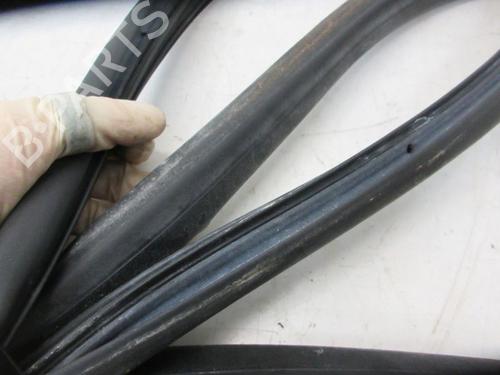 Rubber door seal RENAULT GRAND SCÉNIC III (JZ0/1_) 1.4 16V (JZ0F) | BP29094726C142 