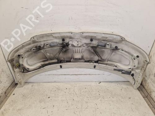 Hood VW TRANSPORTER T5 Bus (7HB, 7HJ, 7EB, 7EJ) 2.5 TDI | BP29107290C1 