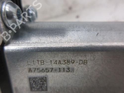 Right rear window motor FORD FIESTA VII (HJ, HF) 1.0 EcoBoost mHEV | BP29086492E22