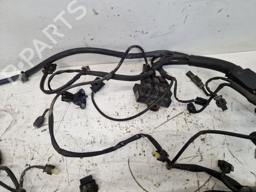 Wiring harness MERCEDES-BENZ VITO Bus (W639) 110 CDI (639.701, 639.703, 639.705) | BP29171324E16 