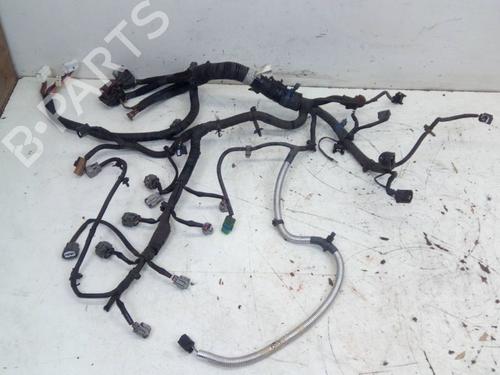 Used Wiring harness NISSAN QASHQAI I (J10, NJ10) 2.0 (141 hp) 31703087