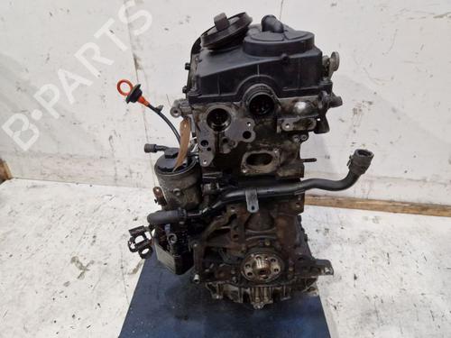 Engine SEAT TOLEDO III (5P2) 2.0 TDI 16V | BP29107019M1