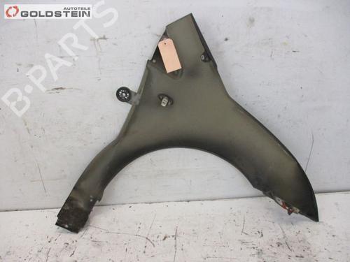 Guarda-lamas esquerdo CITROËN C2 (JM_) 1.4 HDi | BP18762882C41