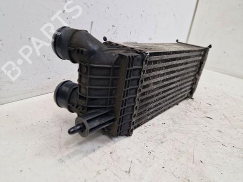 Intercooler PEUGEOT EXPERT Van (VF3A_, VF3U_, VF3X_) 1.6 HDi 90 8V | BP29099985M30 