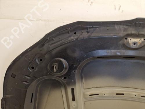 Hood BMW 5 Touring (E61) 525 d | BP29102547C1 