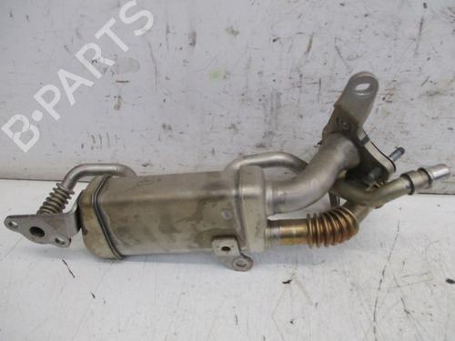 Egr RENAULT KANGOO / GRAND KANGOO II (KW0/1_) 1.5 dCi 90 (KW05, KW08, KW0G, KW11) | BP29091973M69 