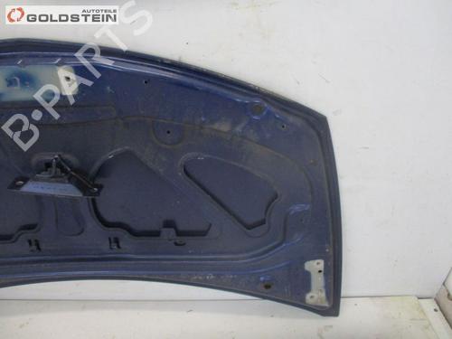 Hood RENAULT CLIO III (BR0/1, CR0/1) 1.2 16V (BR02, BR0J, BR11, CR02, CR0J, CR11) | BP18755911C1 