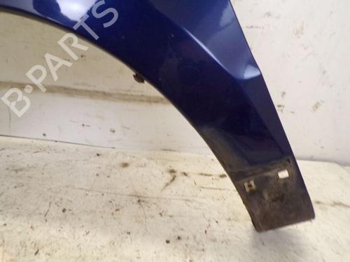 Left front fenders HYUNDAI SANTA FÉ II (CM) 2.2 CRDi GLS 4x4 | BP30668094C41