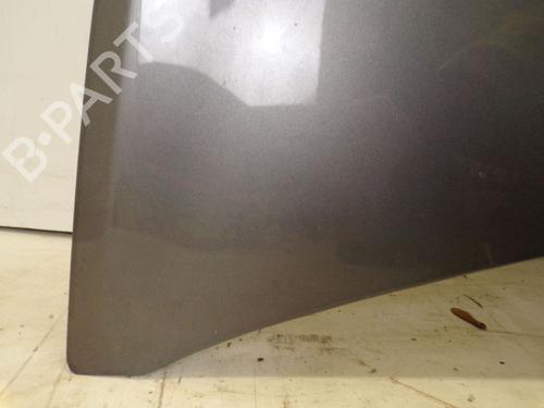 Hood RENAULT CLIO III (BR0/1, CR0/1) 1.2 16V (BR02, BR0J, BR11, CR02, CR0J, CR11) | BP18801650C1