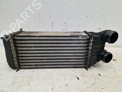Intercooler PEUGEOT EXPERT Van (VF3A_, VF3U_, VF3X_) 1.6 HDi 90 8V | BP29099985M30 