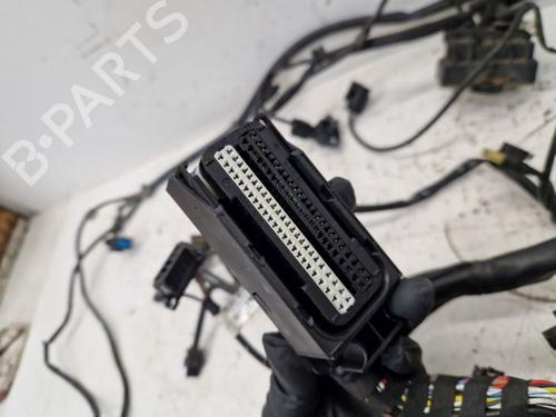 Wiring harness MERCEDES-BENZ VITO Bus (W639) 110 CDI (639.701, 639.703, 639.705) | BP29171324E16 