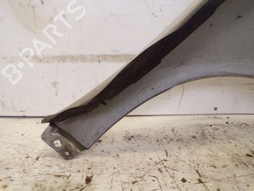 Left front fenders MERCEDES-BENZ A-CLASS (W169) A 180 CDI (169.007, 169.307) | BP29090044C41 