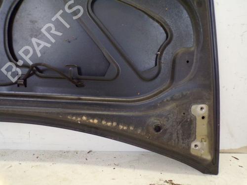 Hood RENAULT CLIO III (BR0/1, CR0/1) 1.6 16V (BR09, BR0T, CR09, CR0T) | BP29098067C1 