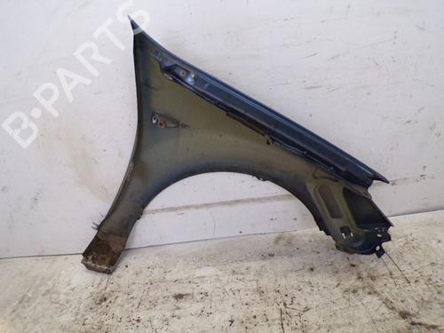 Left front fenders DACIA SANDERO 1.4 (BS0C, BS0A, BS0G, BS1F, BS0E) | BP29086213C41 