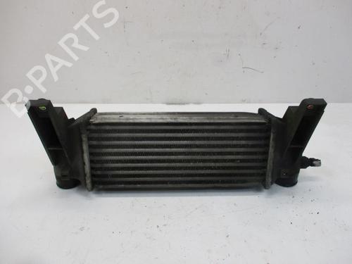Used Intercooler FORD TRANSIT CONNECT (P65_, P70_, P80_) 1.8 TDCi (90 hp) 18803260