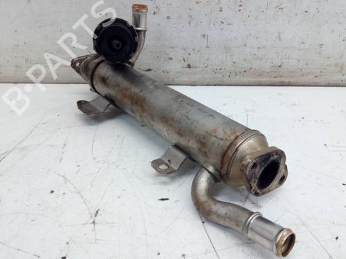 Egr VW TIGUAN (5N_) 2.0 TDI 4motion | BP29102299M69 