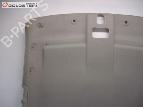 Interiør tag NISSAN X-TRAIL I (T30) 2.2 dCi 4x4 | BP18762559I12 