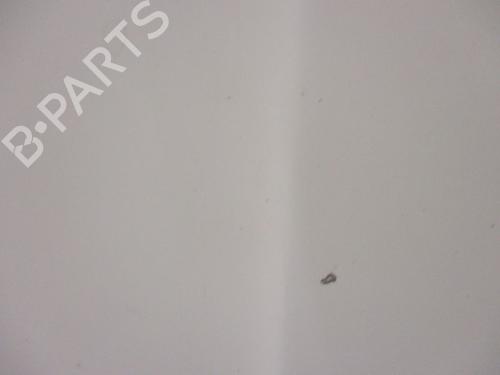 Hood FORD TRANSIT CONNECT (P65_, P70_, P80_) 1.8 TDCi | BP18792790C1 