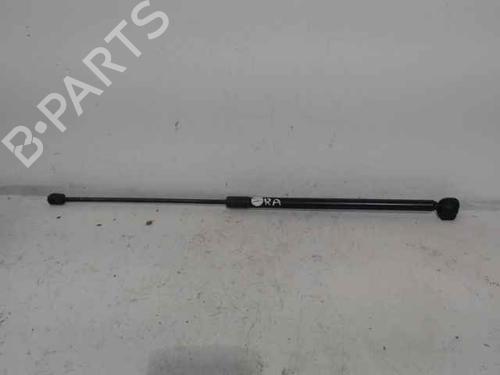 Used Hood lift support RENAULT MEGANE III Hatchback (BZ0/1_, B3_) 1.5 dCi (BZ0C) (90 hp) 24896995