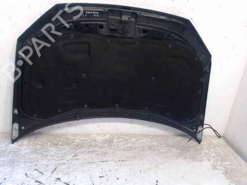 Used Hood VW POLO IV (9N_, 9A_) 1.4 TDI (80 hp) 24896762