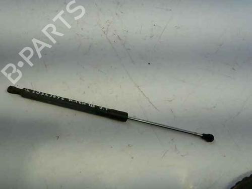 Used Tailgate lift support RENAULT CLIO III (BR0/1, CR0/1) 1.5 dCi (C/BR0G, C/BR1G) (68 hp) 24898062