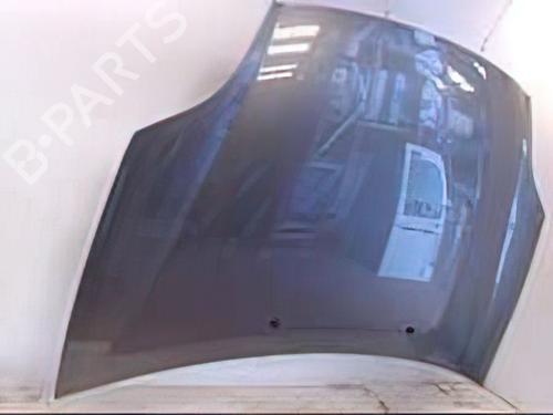 Hood FIAT BRAVO II (198_) 1.9 D Multijet (198AXE1A) | BP24896425C1