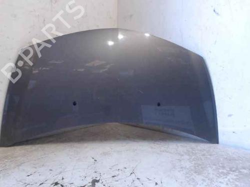 Used Hood RENAULT CLIO III (BR0/1, CR0/1) 1.5 dCi (C/BR0G, C/BR1G) (68 hp) 24896910