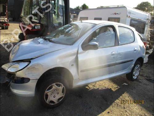 Left mirror PEUGEOT 206 Hatchback (2A/C)  | BP28309308C26 