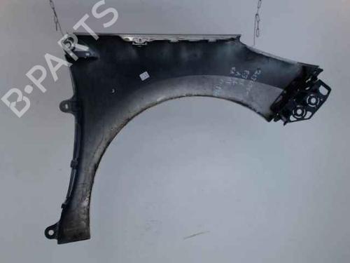 Left front fenders PEUGEOT 308 I (4A_, 4C_) 2.0 HDi | BP24900811C41 