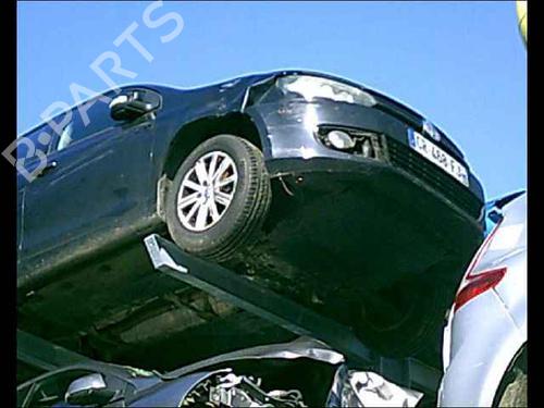 Tailgate lift support VW GOLF VI (5K1)  | BP24898103C138 