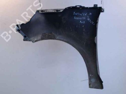 Right front fenders RENAULT SCÉNIC III (JZ0/1_) 1.5 dCi | BP24902098C42 