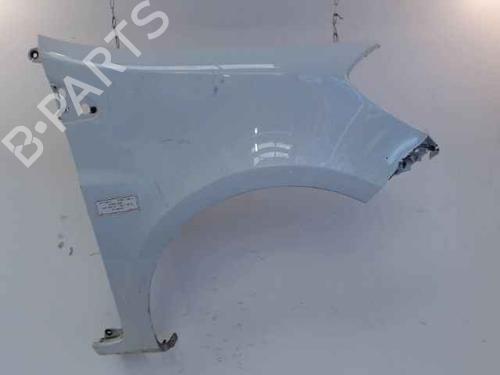 Used Right front fenders RENAULT CLIO III (BR0/1, CR0/1) 1.5 dCi (75 hp) 25762243