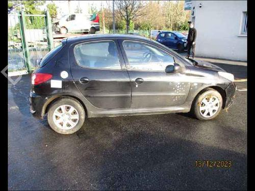 Left front door PEUGEOT 206+ (2L_, 2M_) 1.4 i | BP24906572C2 
