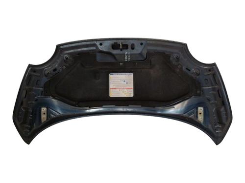 Hood FIAT 500 (312_) 1.2 (312AXA1A) | BP29984620C1