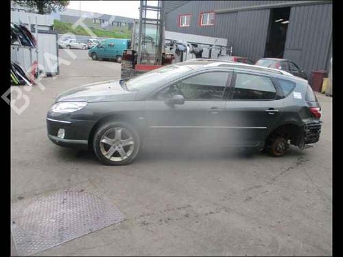 Right rear door PEUGEOT 407 SW (6E_, 6D_)  | BP24910887C5 