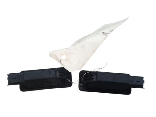 Licence plate light CITROËN C4 II (NC_) 1.6 HDi 90 | BP31575224I40