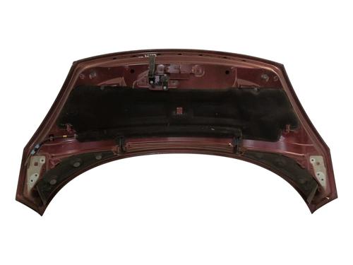 Hood RENAULT SCÉNIC III (JZ0/1_) 1.2 TCe | BP28828205C1