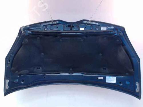 Hood TOYOTA COROLLA Verso (ZER_, ZZE12_, R1_) 2.0 D-4D (CUR10_, CUR10R) | BP24896810C1 