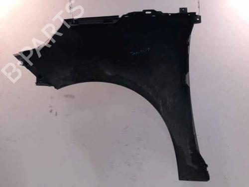 Right front fenders RENAULT SCÉNIC III (JZ0/1_) 1.5 dCi | BP24902048C42 