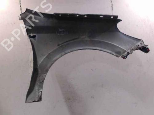 Left front fenders OPEL ASTRA H (A04) 1.7 CDTI (L48) | BP24900357C41 