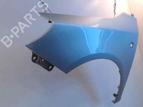 Left front fenders SKODA FABIA II (542) 1.4 TDI | BP24901053C41 