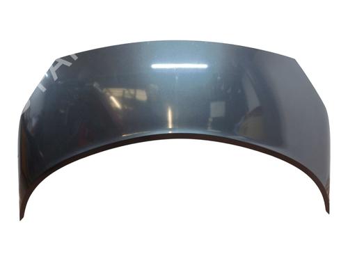 hood-renault-scenic-ii-jm01_-2003-2004-2005-2006-2007-2008-2009-2010-33857996 main image