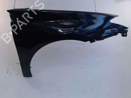 Used Right front fenders RENAULT LAGUNA III Grandtour (KT0/1) 1.5 dCi (KT0A, KT0R, KT02) (110 hp) 24902002