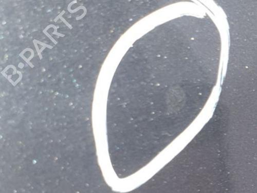 Right front door RENAULT MEGANE III Hatchback (BZ0/1_, B3_) 1.5 dCi (BZ09, BZ0D, BZ1W, BZ29, BZ14) | BP24910567C3 